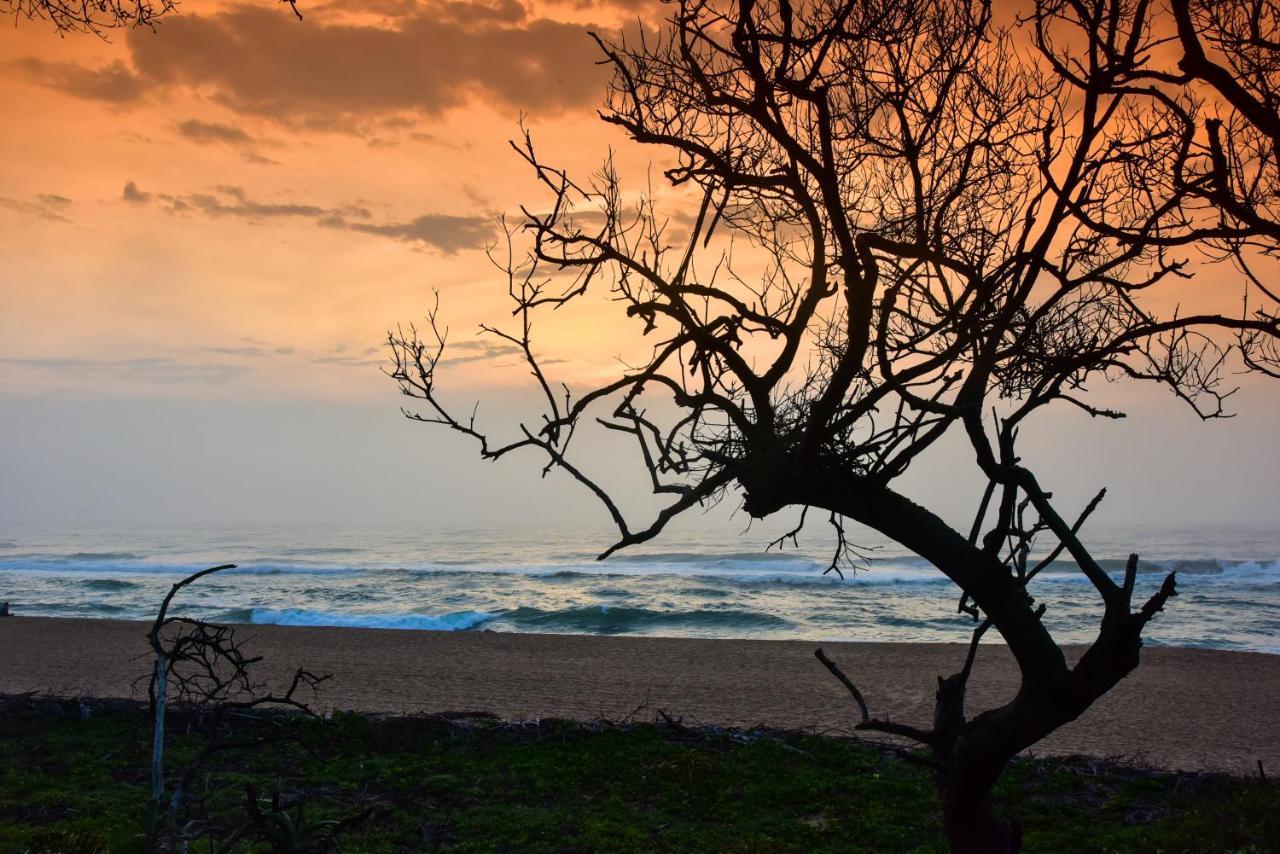 La Lucia Sands Beach Resort Durban Zewnętrze zdjęcie